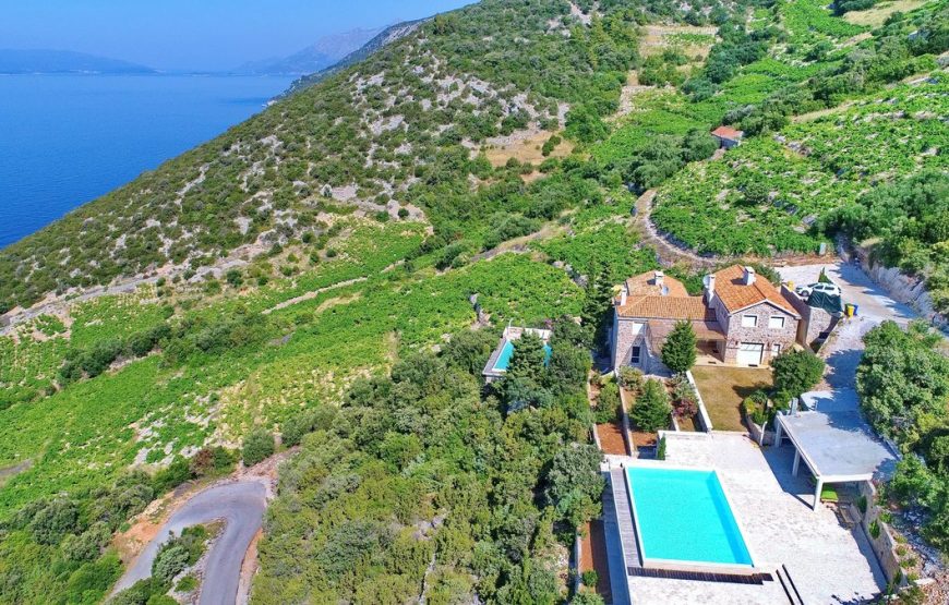 Croatia Dingac villa in vineyard with pool