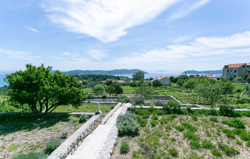 Croatia Dubrovnik Orasac stone villa for rent