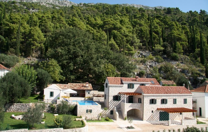 Croatia Dubrovnik area Stone chateau for rent