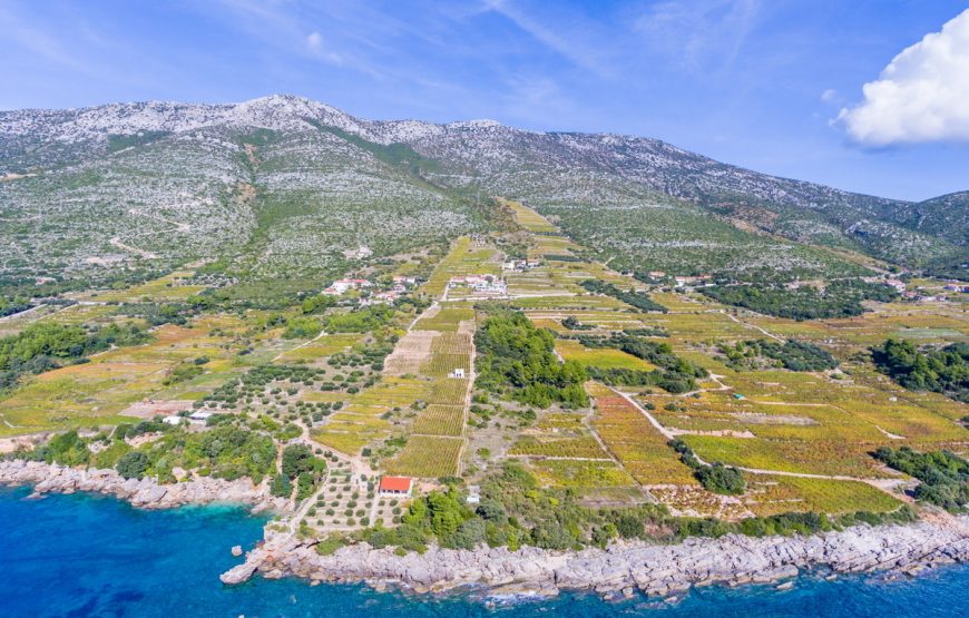 Croatia Peljesac peninsula Waterfront villa for rent