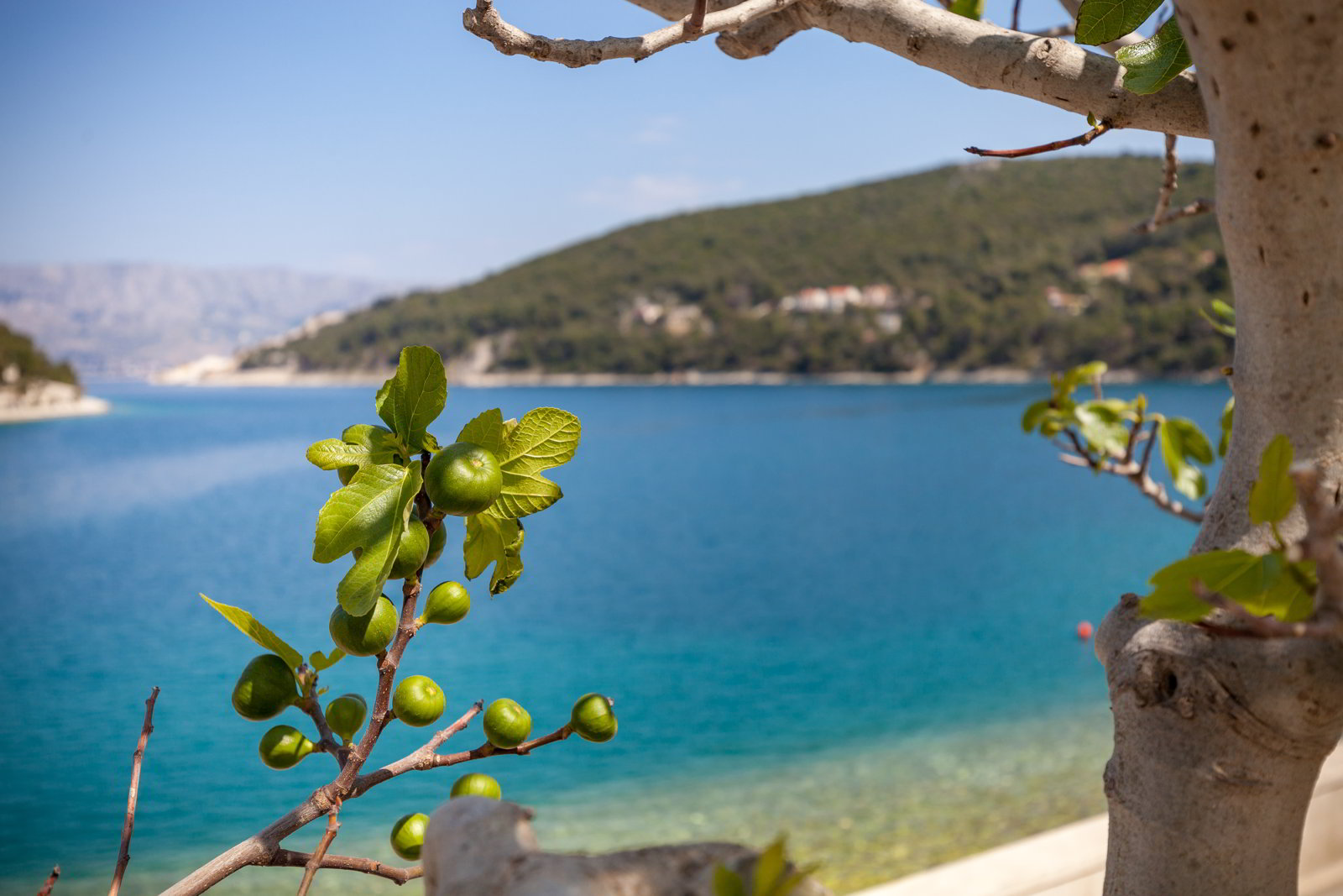 Croatia island Brac Pucisca Beachfront stone house rent Croatian