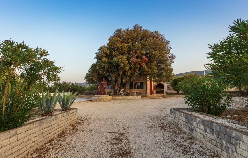 Croatia island Brac stone villa with pool rent