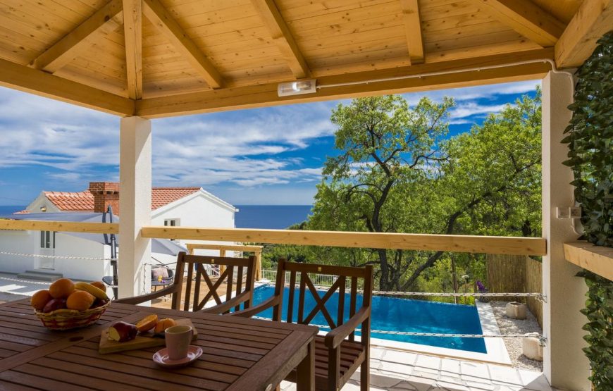Croatia island Mljet Sea view villa with pool rent