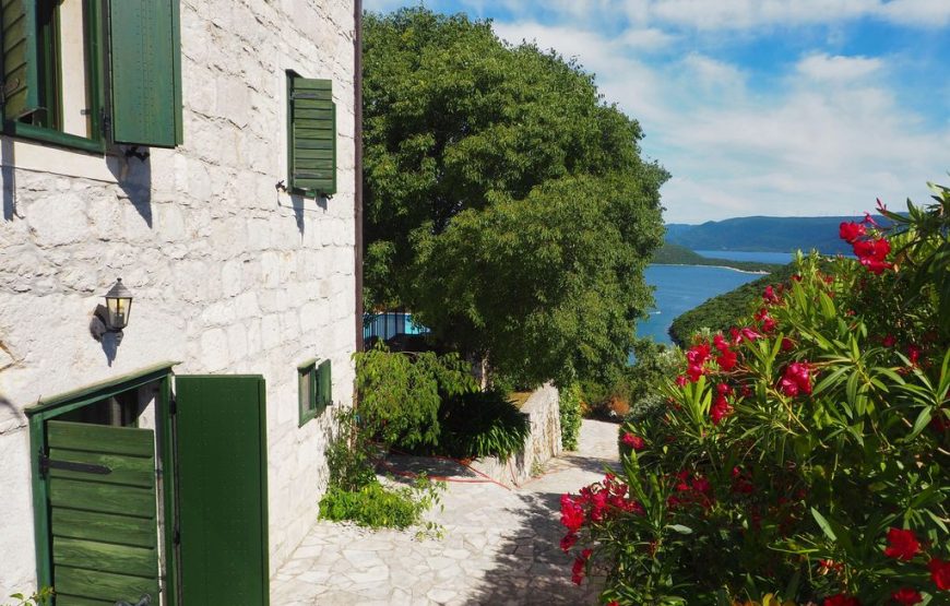 Croatia Dubrovnik Klek traditional villa for rent