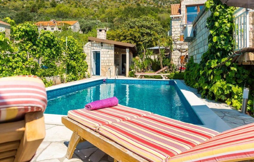 Croatia Dubrovnik Trsteno Stone Pool villa rent